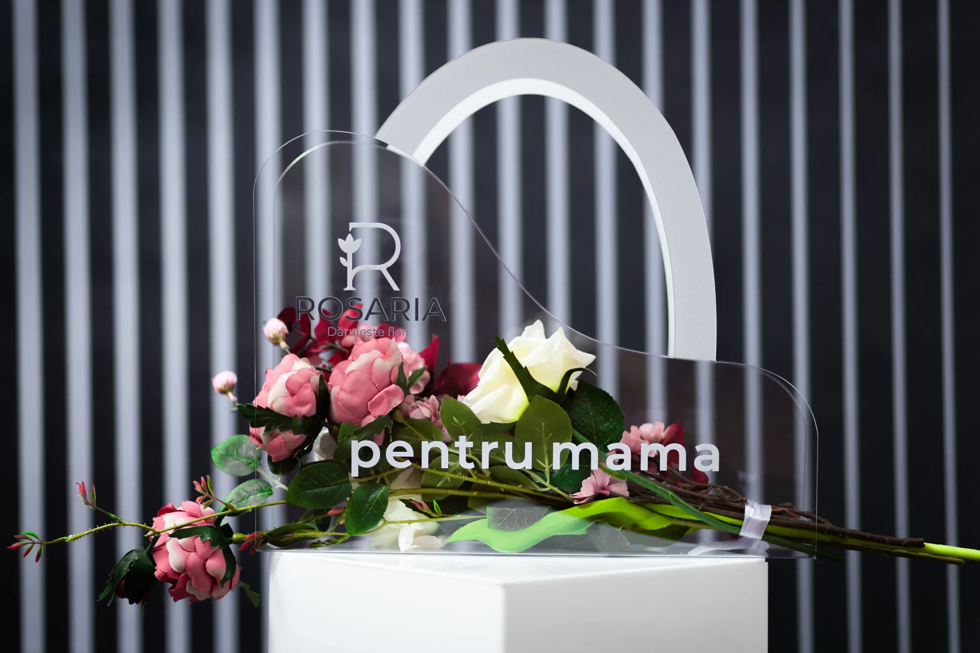 3D3A0093.webp